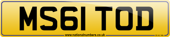 MS61 TOD