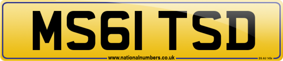 MS61 TSD