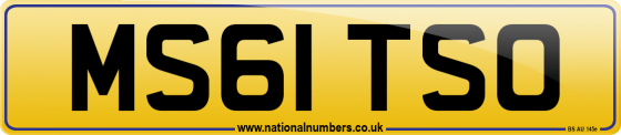 MS61 TSO