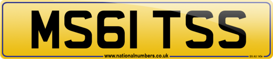 MS61 TSS