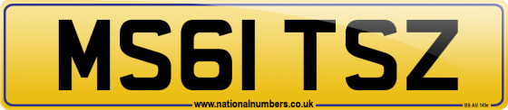 MS61 TSZ