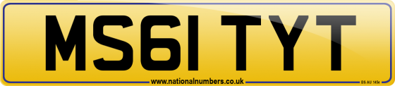 MS61 TYT