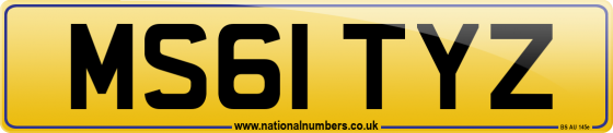 MS61 TYZ