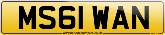 MS61 WAN