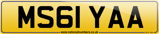 MS61 YAA