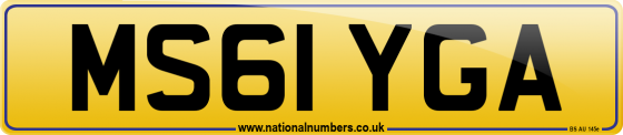 MS61 YGA