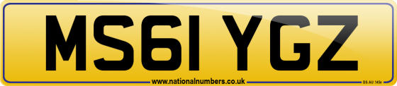 MS61 YGZ