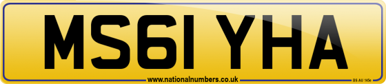 MS61 YHA