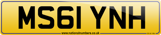 MS61 YNH