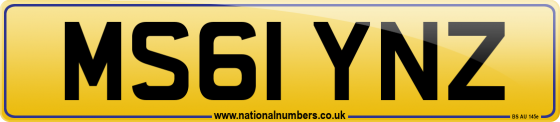 MS61 YNZ