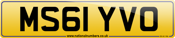 MS61 YVO