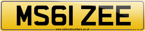 MS61 ZEE