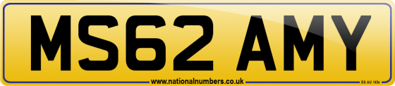 MS62 AMY