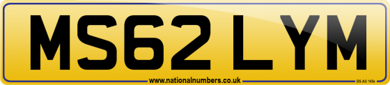 MS62 LYM