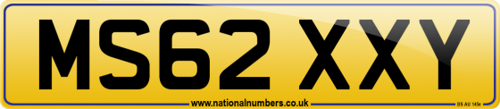 MS62 XXY