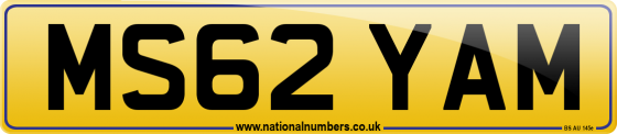 MS62 YAM
