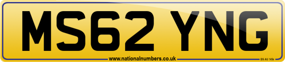 MS62 YNG