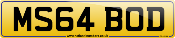 MS64 BOD
