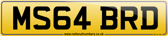 MS64 BRD