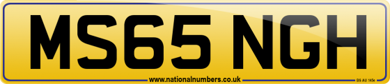 MS65 NGH