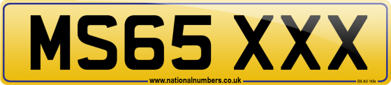 MS65 XXX