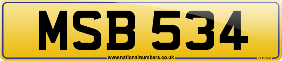 MSB 534