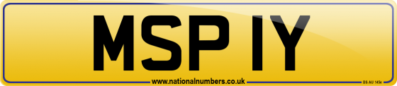 MSP 1Y