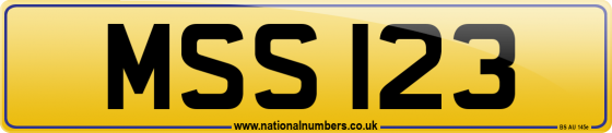 MSS 123