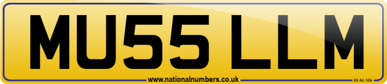 MU55 LLM