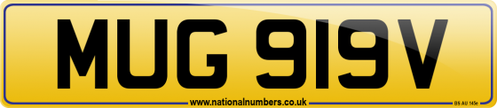 MUG 919V