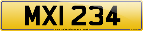 MXI 234