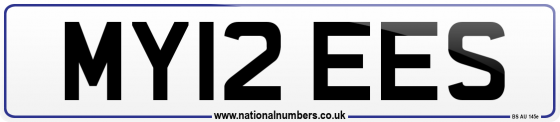 MY12 EES