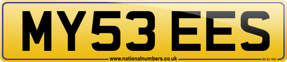 MY53 EES