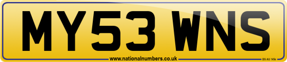 MY53 WNS