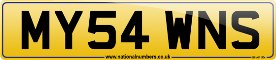 MY54 WNS