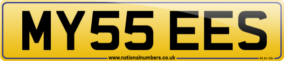 MY55 EES