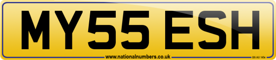 MY55 ESH