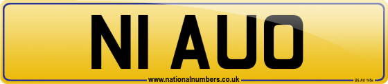 N1 AUO