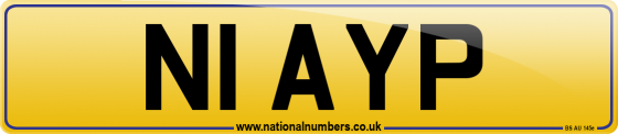 N1 AYP