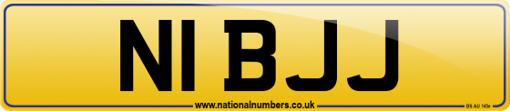 N1 BJJ