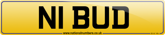 N1 BUD