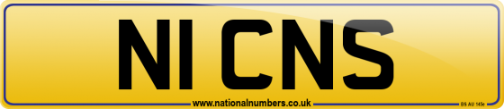 N1 CNS