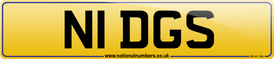 N1 DGS