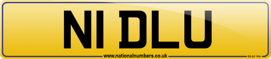N1 DLU