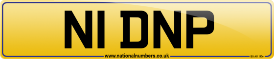 N1 DNP
