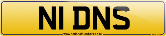 N1 DNS