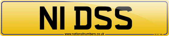 N1 DSS