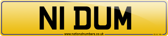 N1 DUM