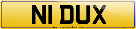 N1 DUX