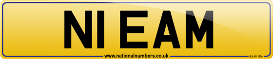 N1 EAM
